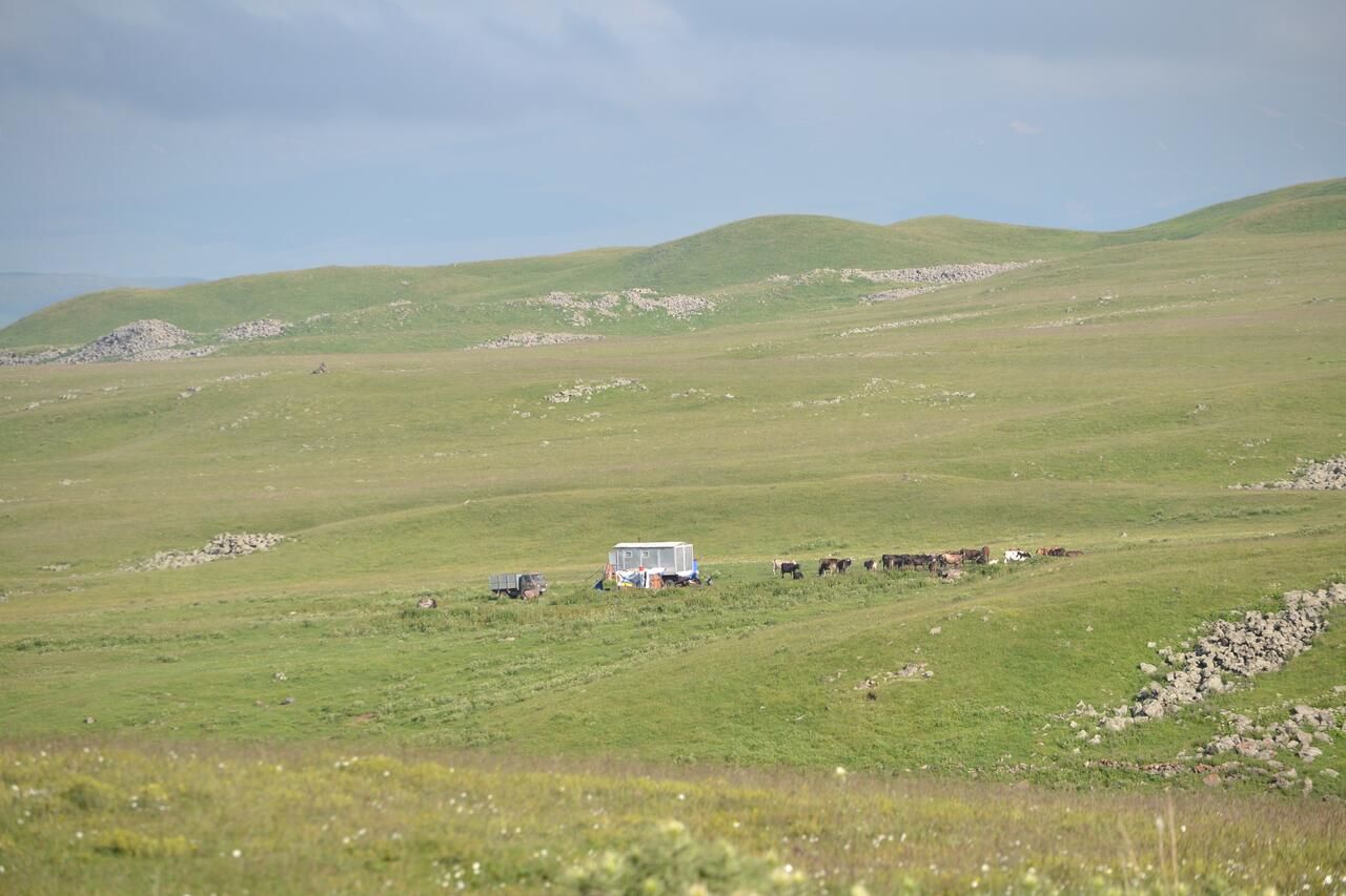 Кемпинги Livestock Keepers Tourism/Sarvor tourism Gavarr-16