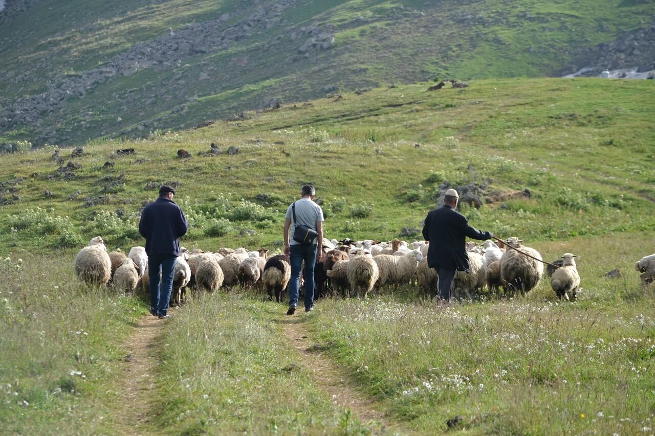 Кемпинги Livestock Keepers Tourism/Sarvor tourism Gavarr-18