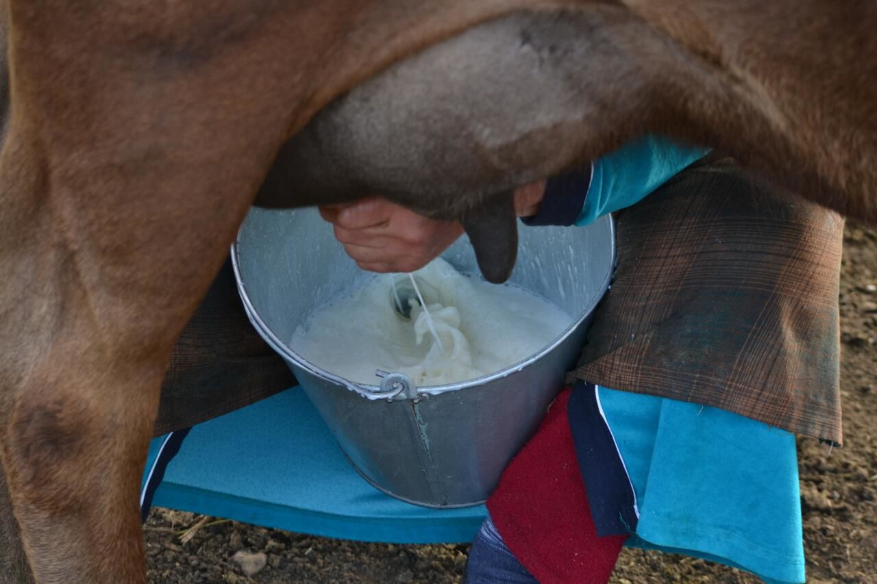 Кемпинги Livestock Keepers Tourism/Sarvor tourism Gavarr-10